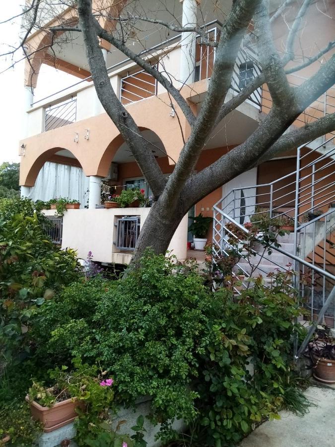 Apartments Vanja Skara Biograd Biograd Na Moru Exterior photo